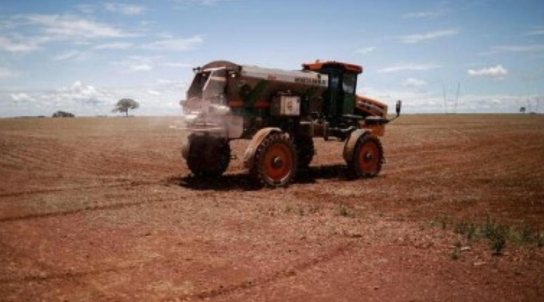 Brasil expandirá soja em 1,5% e cortará uso de fertilizante em 22/23, diz Agrinvest