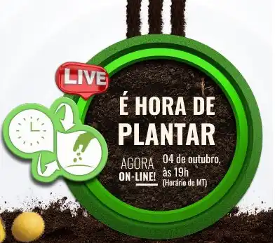 Live "É Hora de Plantar" apresenta informações para o início da safra