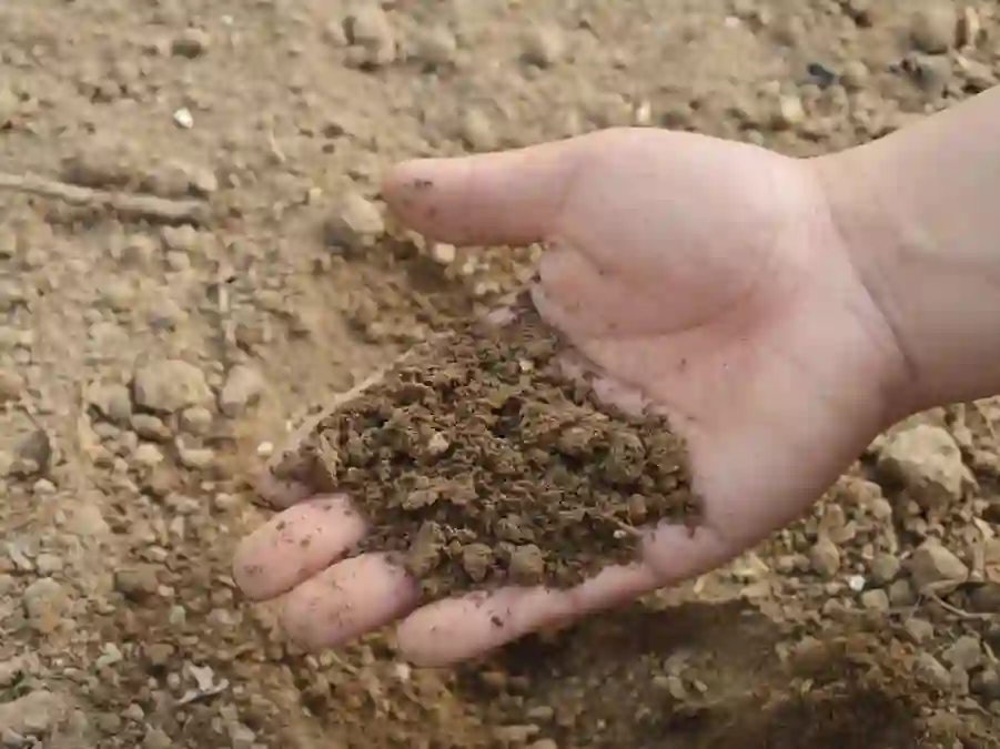 Como utilizar de forma eficiente os fertilizantes em solos argilosos
